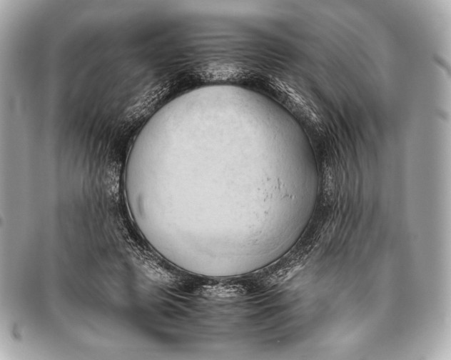 X0000096460545200802071836