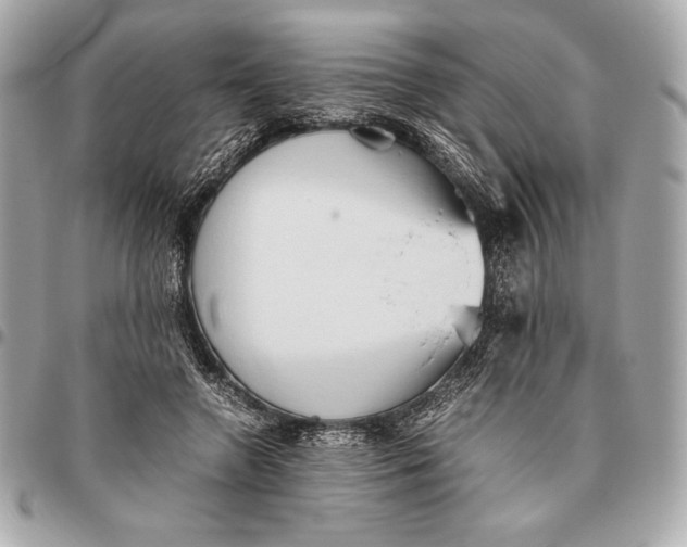 X0000096460546200802071836