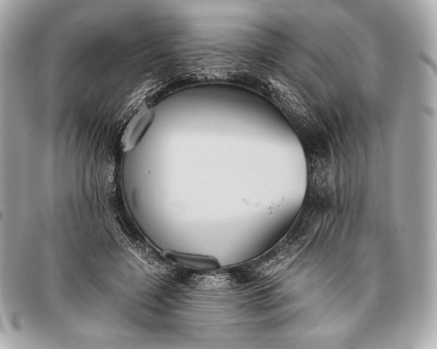 X0000096460548200802071836