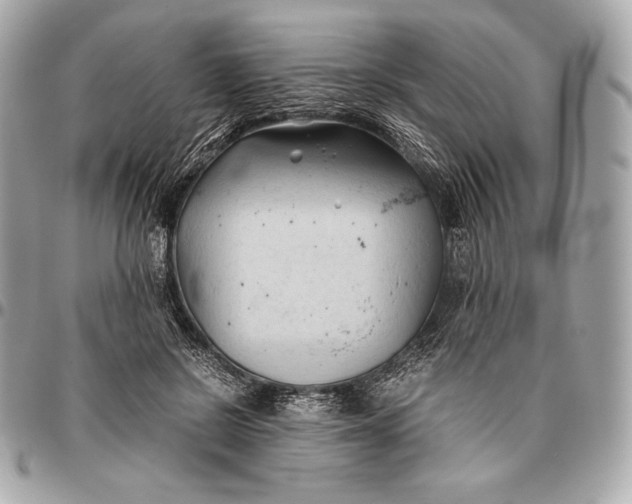 X0000096460550200802071836