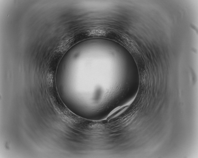 X0000096460551200802071836