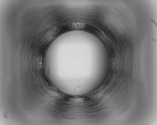 X0000096460553200802071836