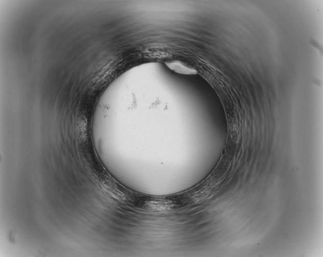 X0000096460556200802071836