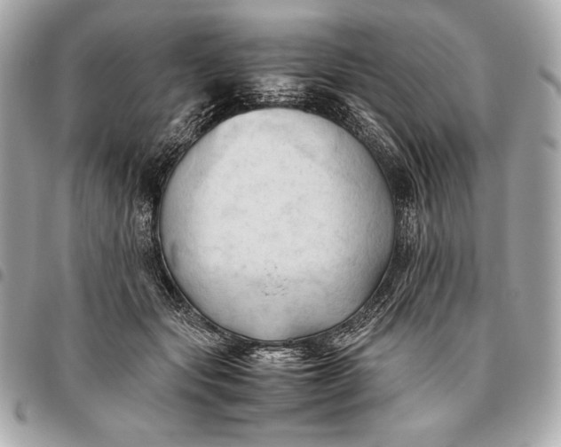 X0000096460557200802071836