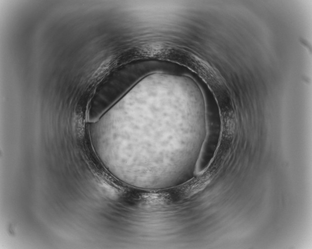 X0000096460558200802071836