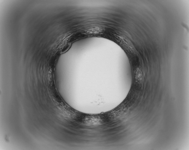 X0000096460559200802071836