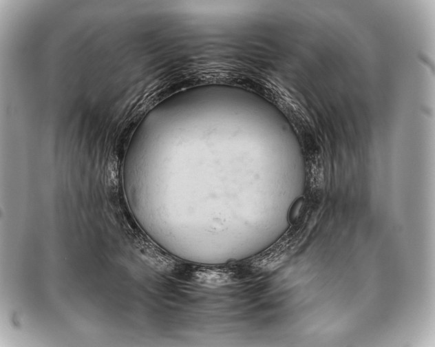 X0000096460561200802071836