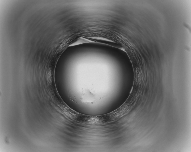 X0000096460562200802071836