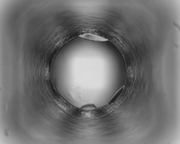 X0000096460564200802071836