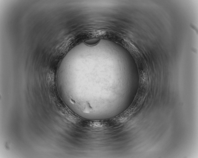 X0000096460565200802071836