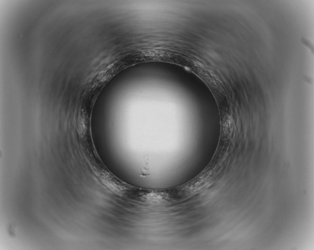 X0000096460566200802071836