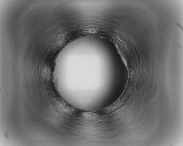 X0000096460568200802071836
