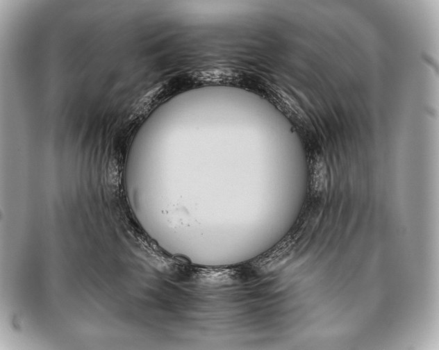 X0000096460569200802071836