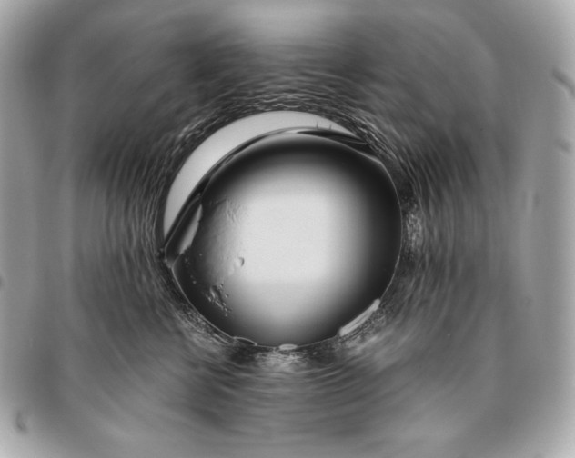 X0000096460570200802071836
