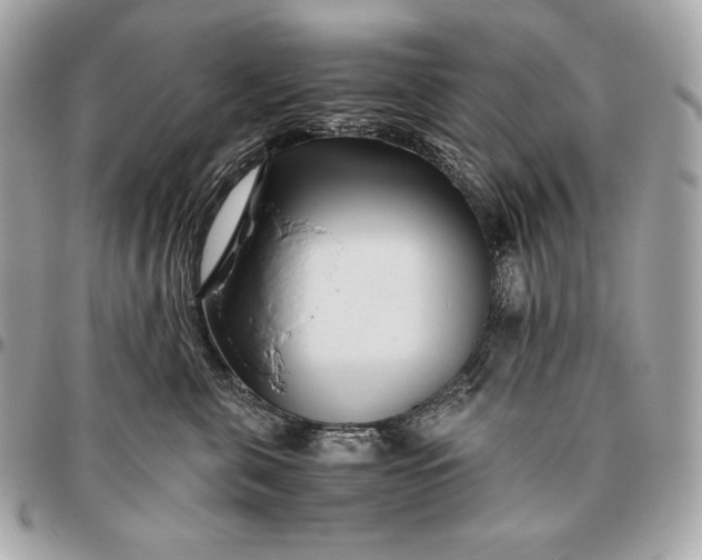 X0000096460571200802071836