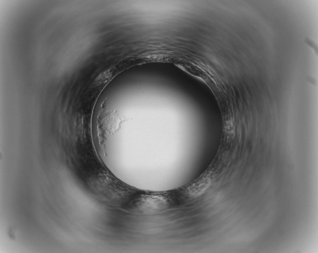 X0000096460572200802071836