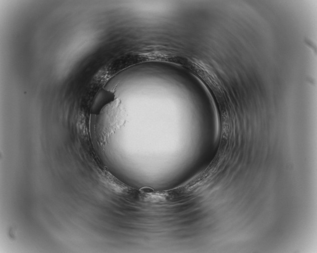 X0000096460573200802071836