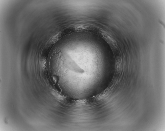 X0000096460574200802071836