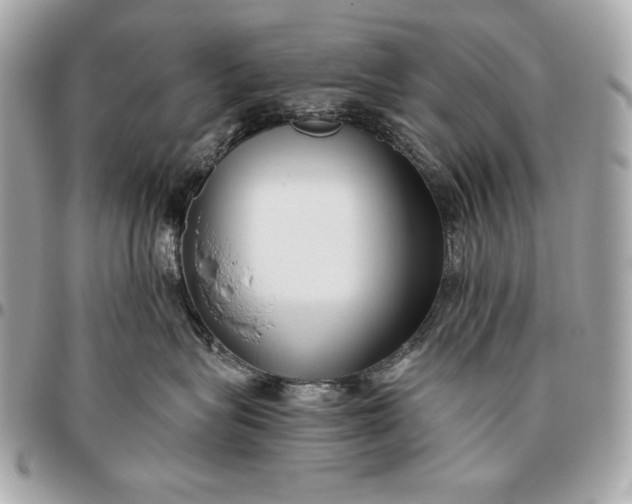 X0000096460575200802071836