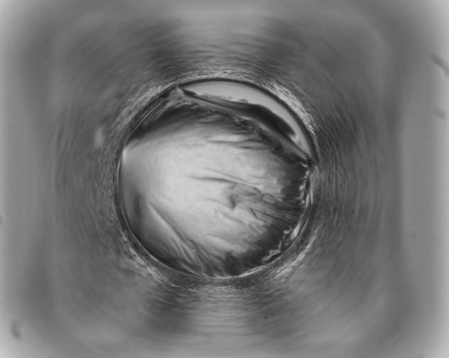 X0000096460577200802071836