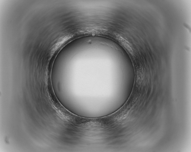 X0000096460578200802071836