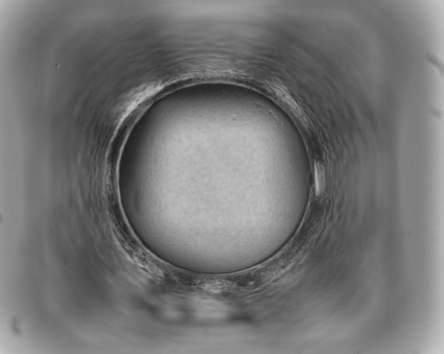 X0000096460579200802071836