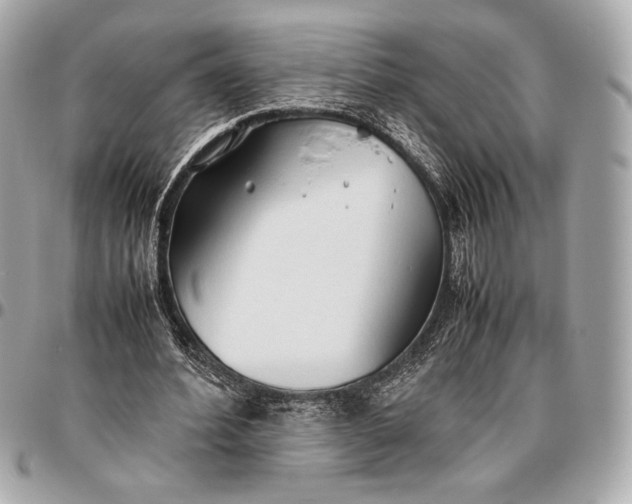 X0000096460580200802071836