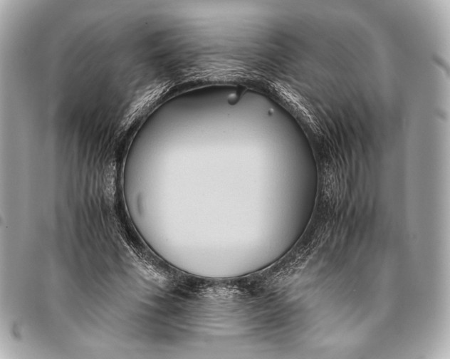 X0000096460586200802071836