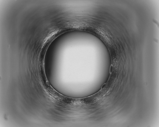 X0000096460587200802071836