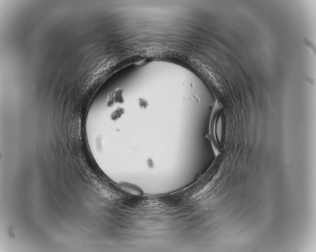 X0000096460589200802071835