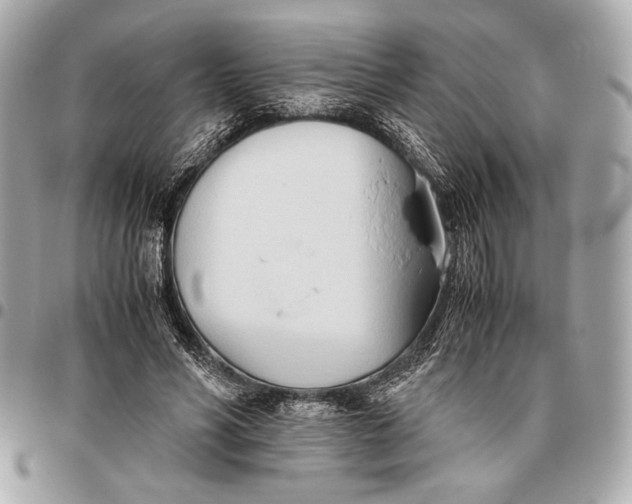 X0000096460590200802071835