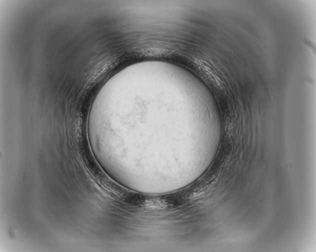 X0000096460591200802071835