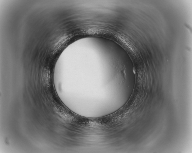 X0000096460592200802071835