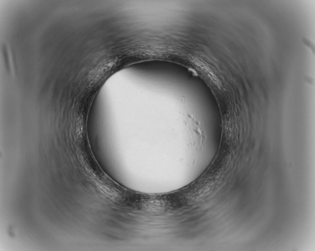 X0000096460593200802071835