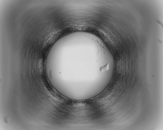 X0000096460594200802071835