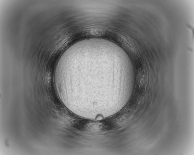 X0000096460595200802071835