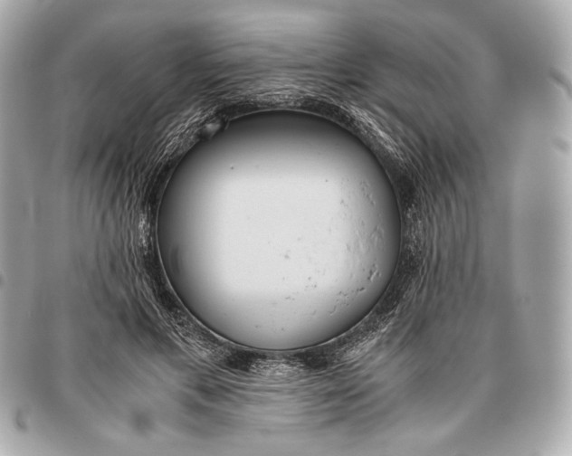 X0000096460597200802071835