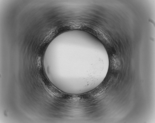 X0000096460598200802071835