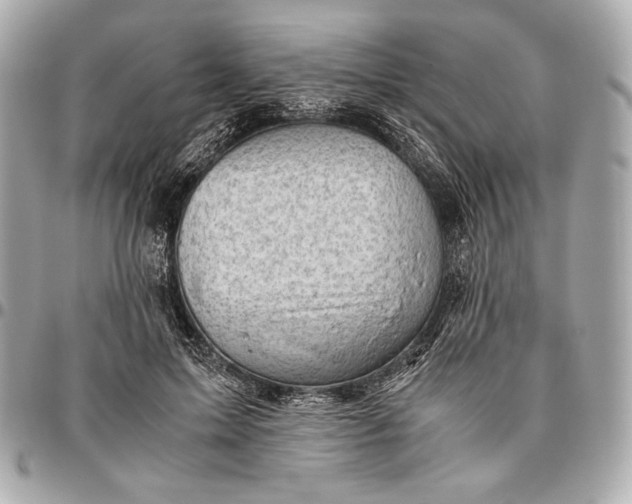 X0000096460599200802071835