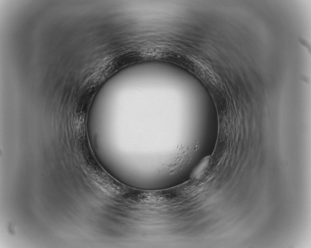 X0000096460601200802071835