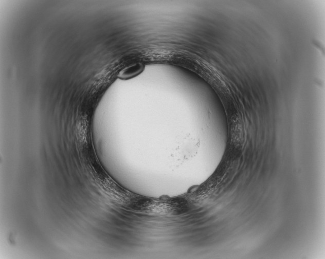 X0000096460604200802071835