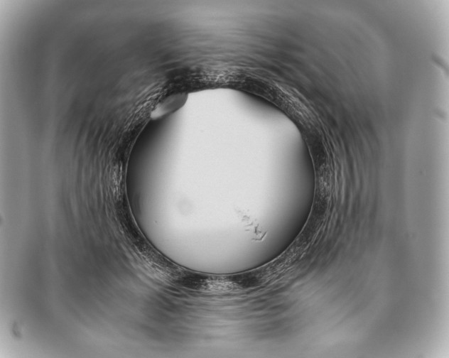 X0000096460605200802071835