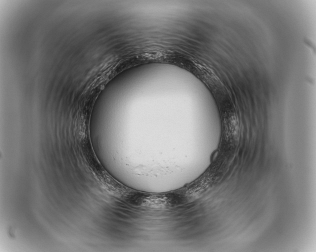 X0000096460606200802071835