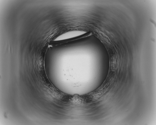 X0000096460608200802071835