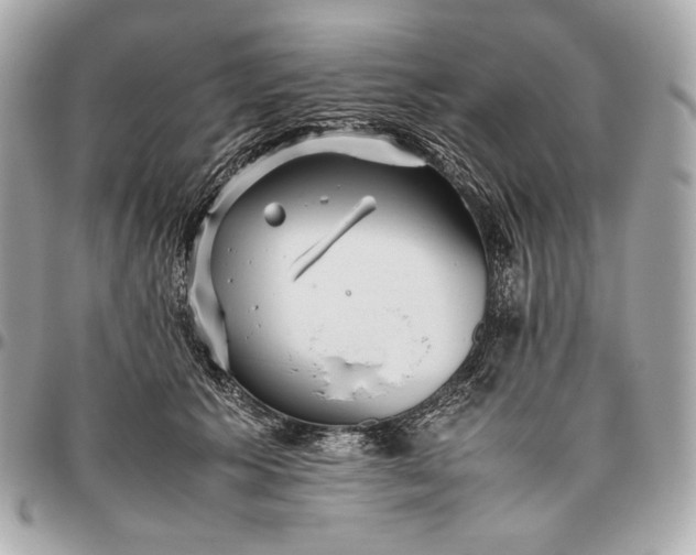 X0000096460609200802071835