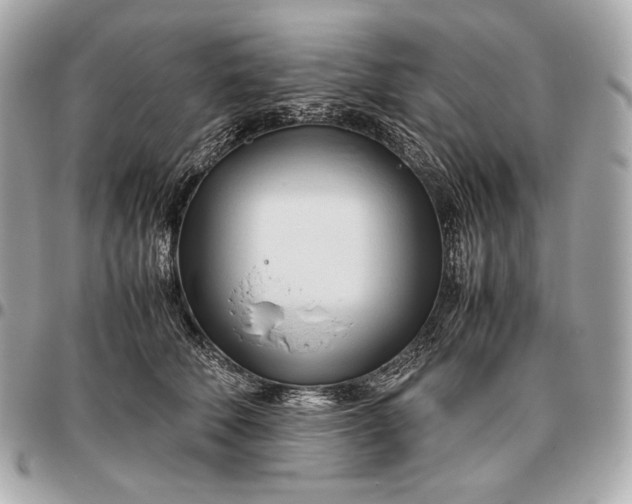 X0000096460610200802071835