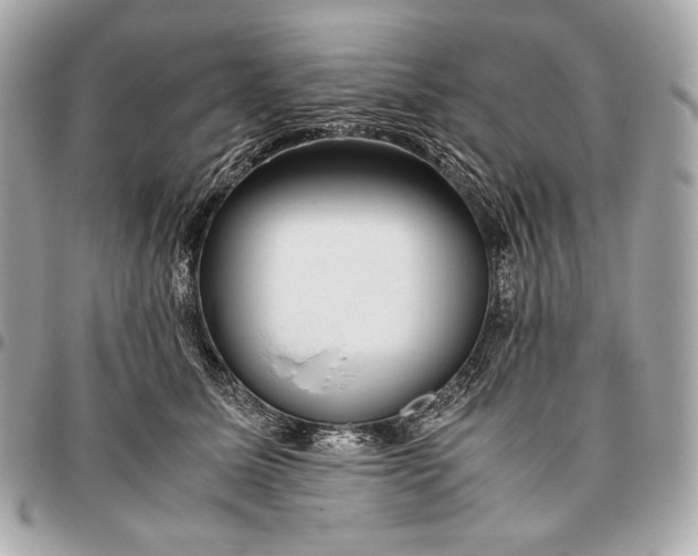 X0000096460611200802071835