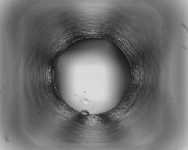 X0000096460612200802071835