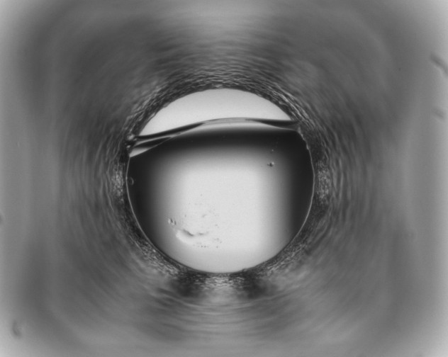 X0000096460613200802071835