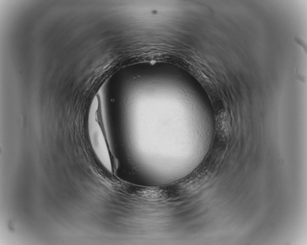 X0000096460615200802071835
